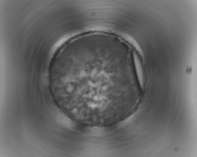 X0000092011027200709061528