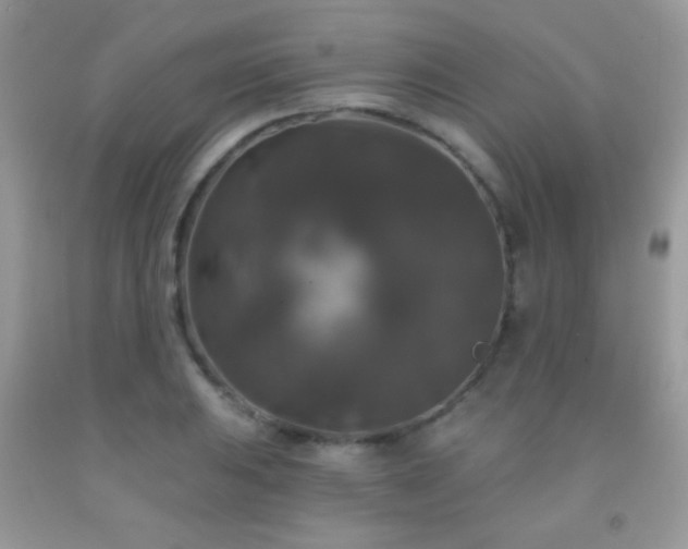 X0000092011031200709061528