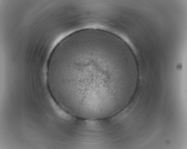 X0000092011032200709061528