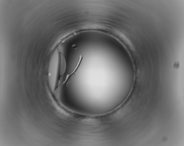 X0000092011033200709061528