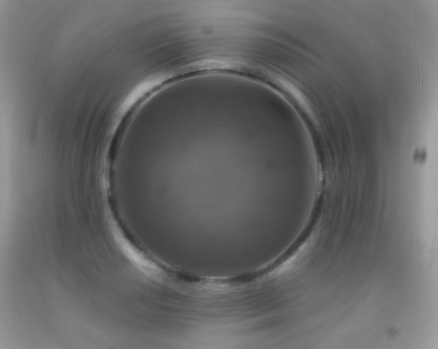 X0000092011034200709061528
