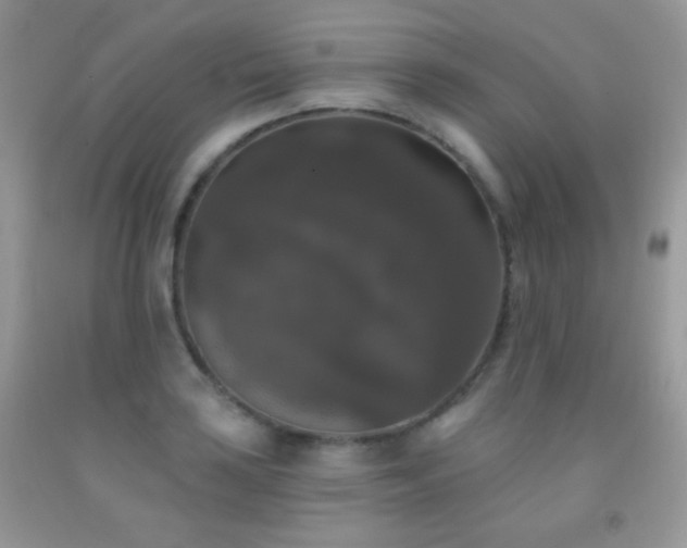 X0000092011035200709061528
