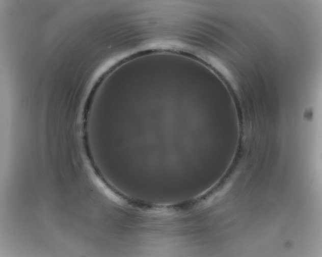 X0000092011037200709061528