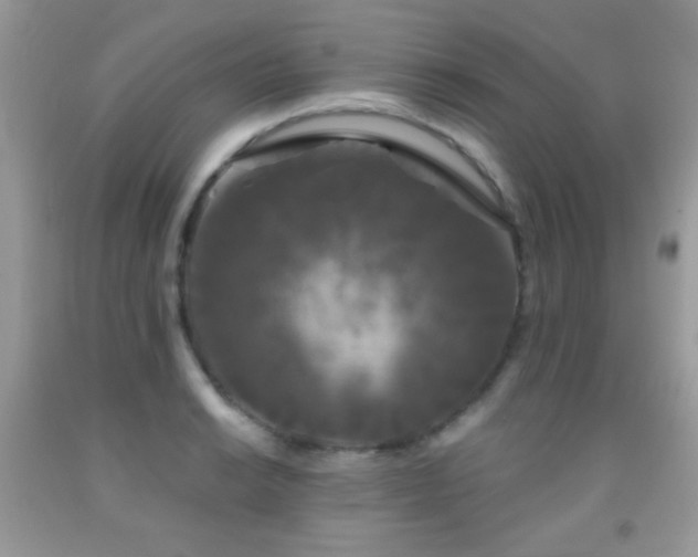 X0000092011038200709061528