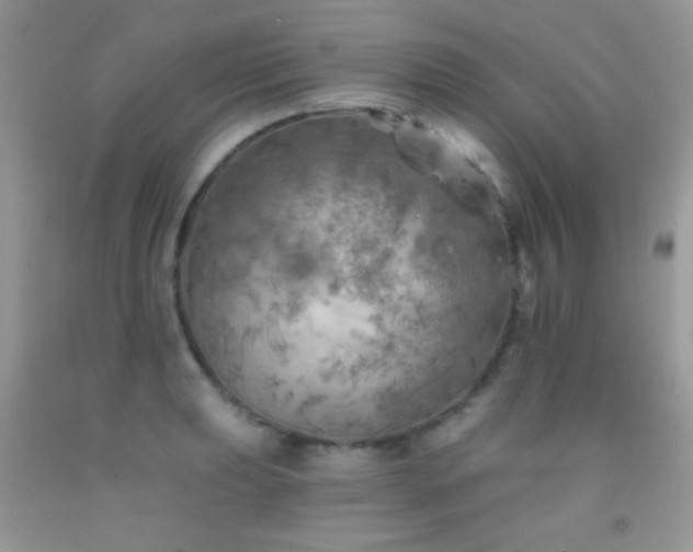 X0000092011039200709061528