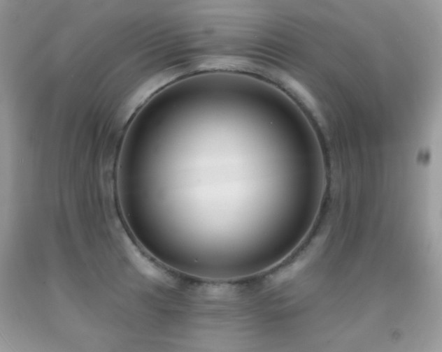 X0000092011041200709061528