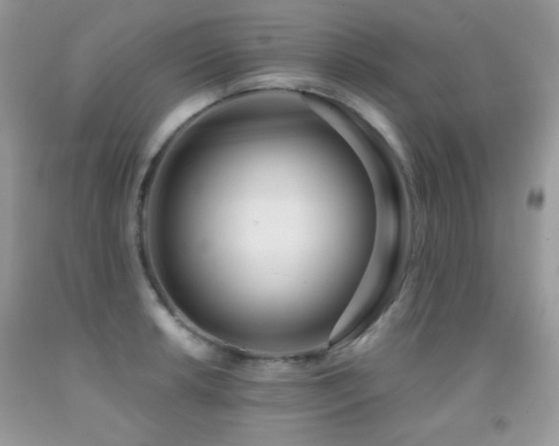 X0000092011042200709061528
