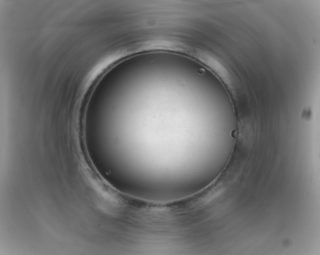 X0000092011043200709061528