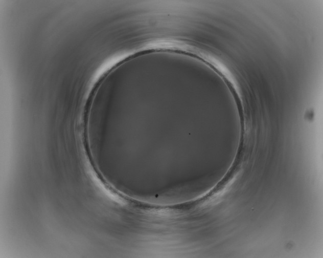 X0000092011045200709061528