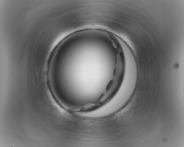 X0000092011046200709061528