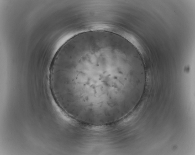 X0000092011047200709061528