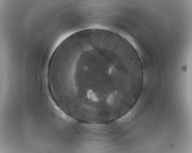 X0000092011048200709061528