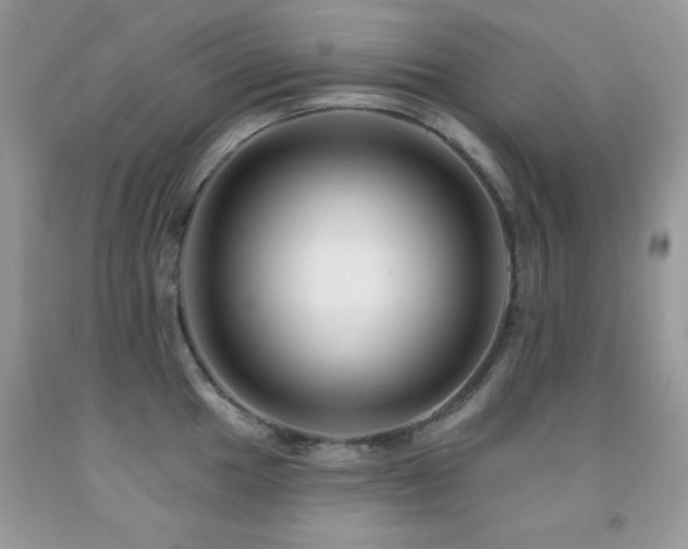 X0000092011049200709061528