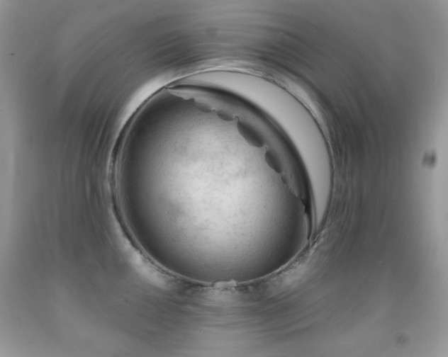 X0000092011050200709061528