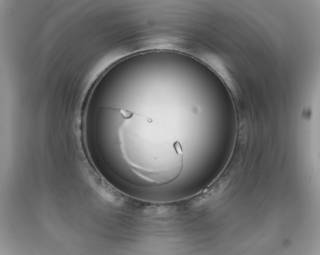 X0000092011051200709061528