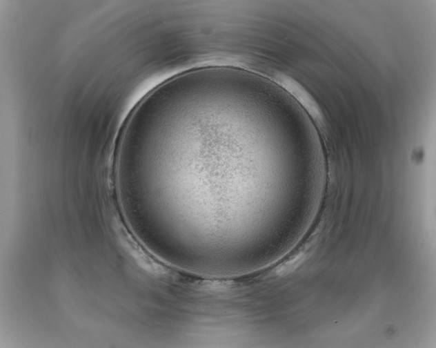 X0000092011052200709061528