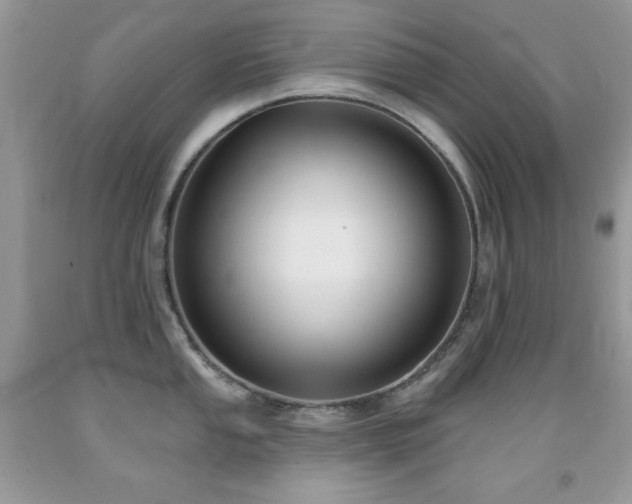 X0000092011053200709061528