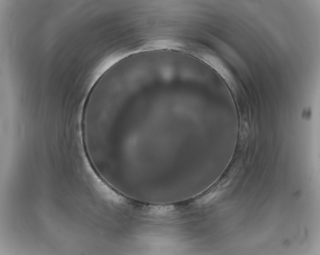 X0000092011055200709061528