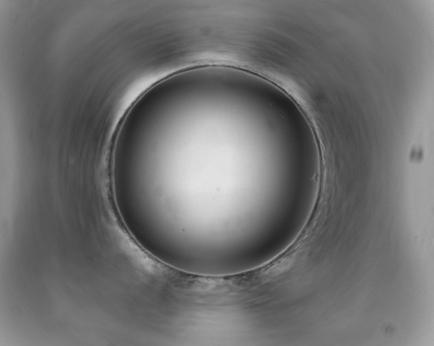 X0000092011056200709061528