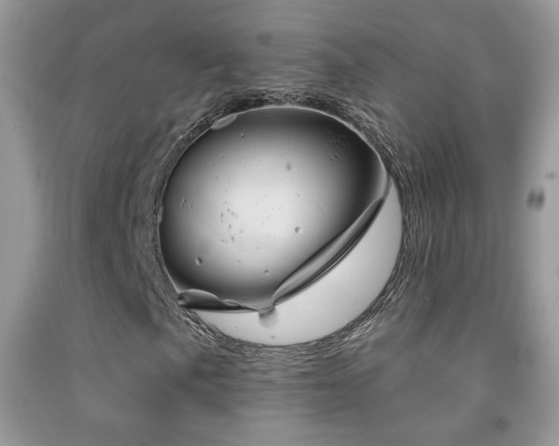 X0000092011057200709061528