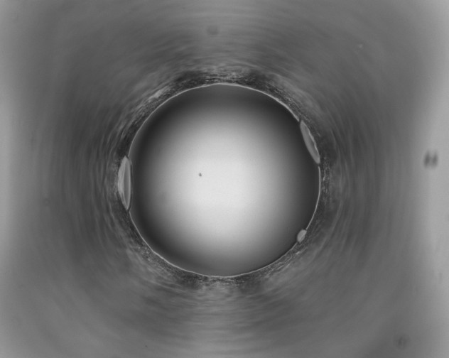 X0000092011058200709061528