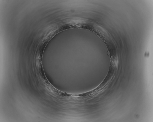 X0000092011060200709061528