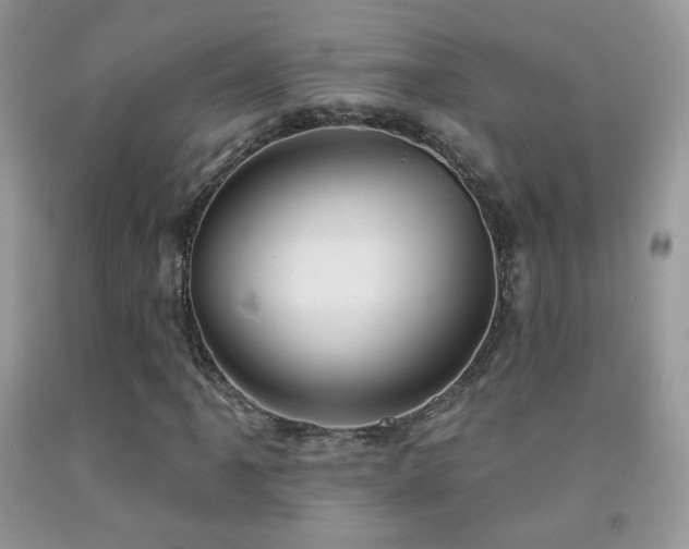 X0000092011061200709061527