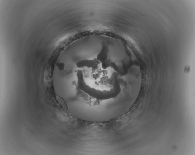 X0000092011063200709061527