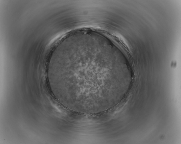 X0000092011064200709061527