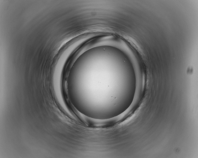 X0000092011065200709061527