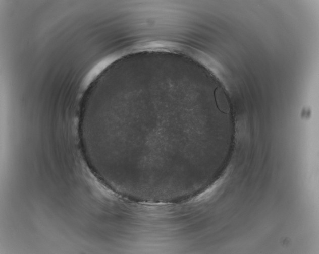 X0000092011066200709061527