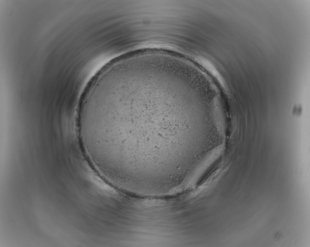 X0000092011068200709061527