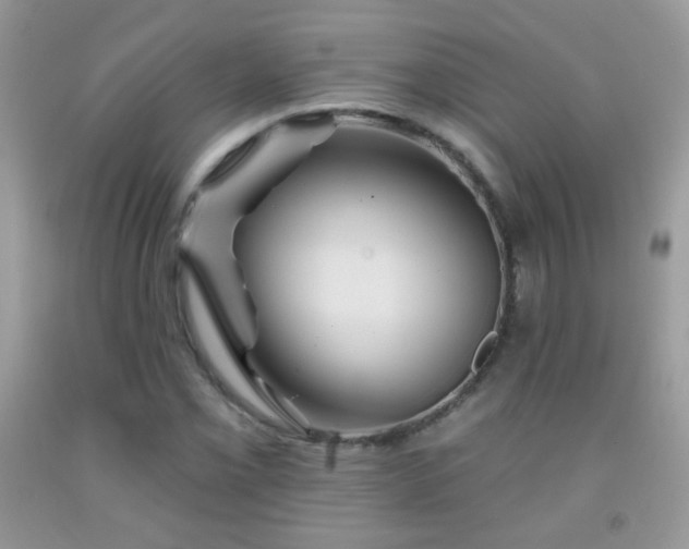 X0000092011069200709061527