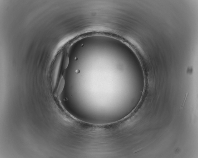 X0000092011070200709061527