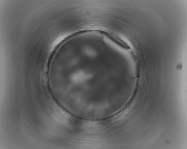 X0000092011071200709061527
