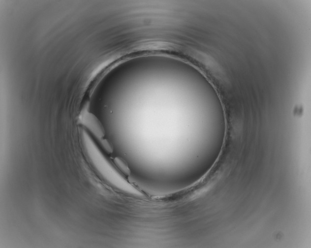 X0000092011073200709061527