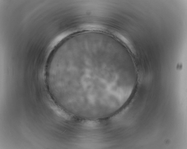 X0000092011074200709061527