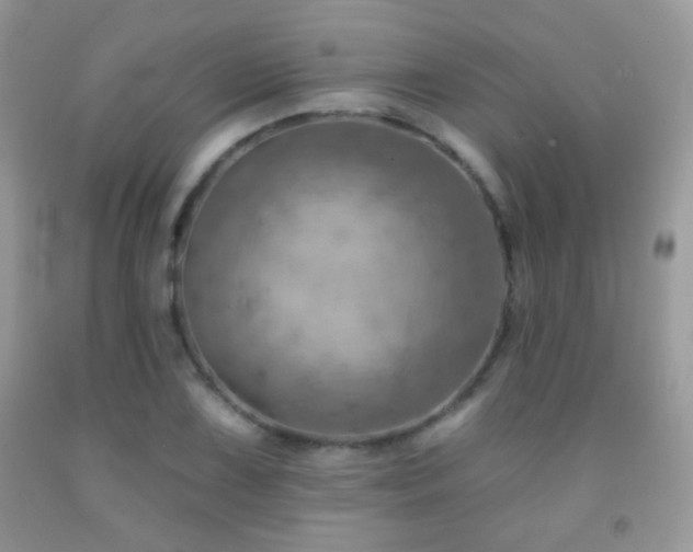 X0000092011075200709061527