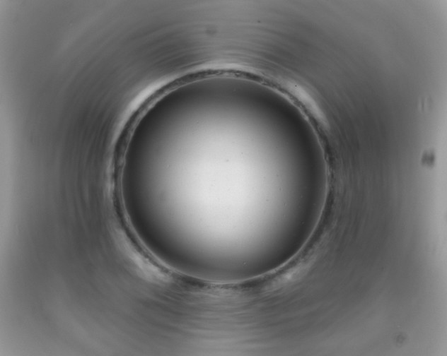 X0000092011076200709061527