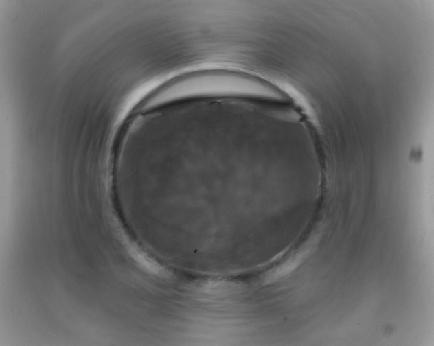 X0000092011077200709061527