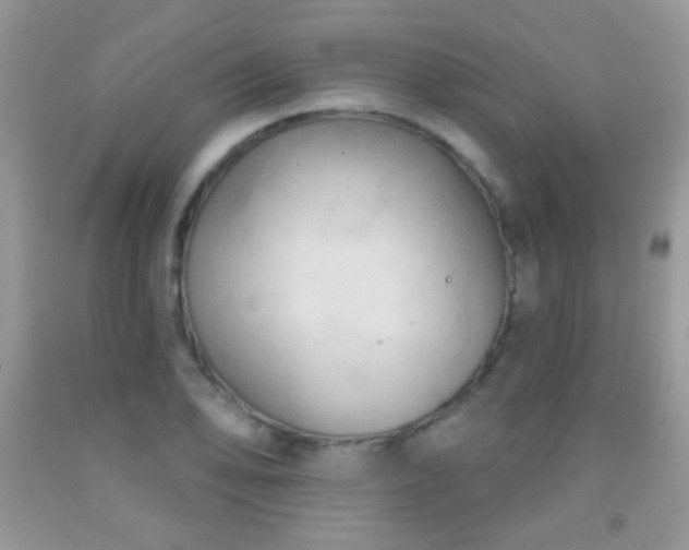 X0000092011078200709061527