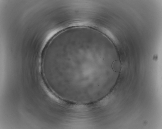 X0000092011079200709061527