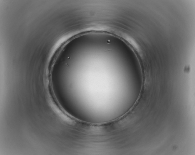 X0000092011080200709061527