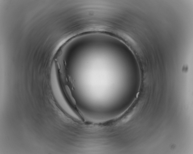 X0000092011081200709061527
