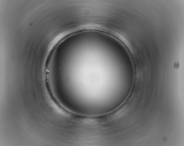 X0000092011082200709061527