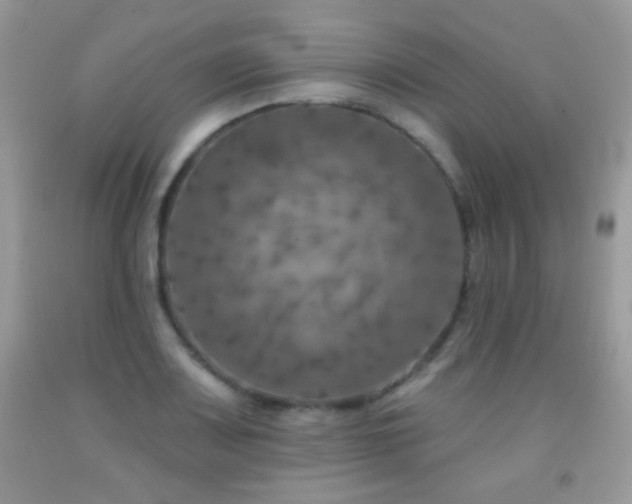 X0000092011083200709061527