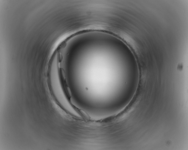 X0000092011085200709061527