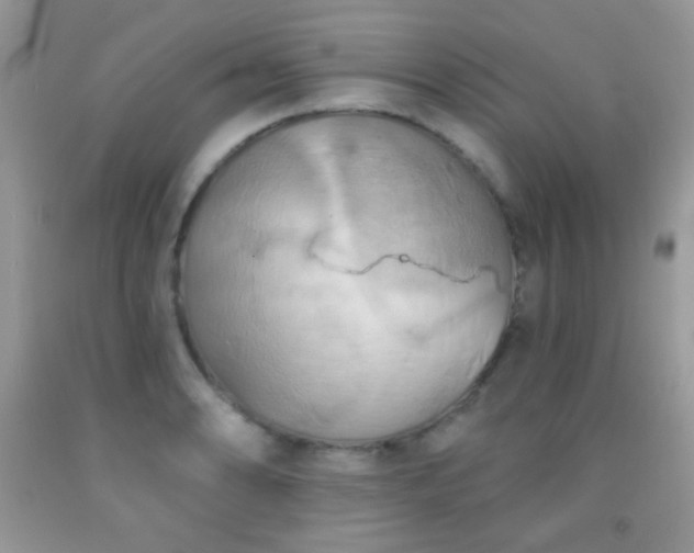X0000092011086200709061527