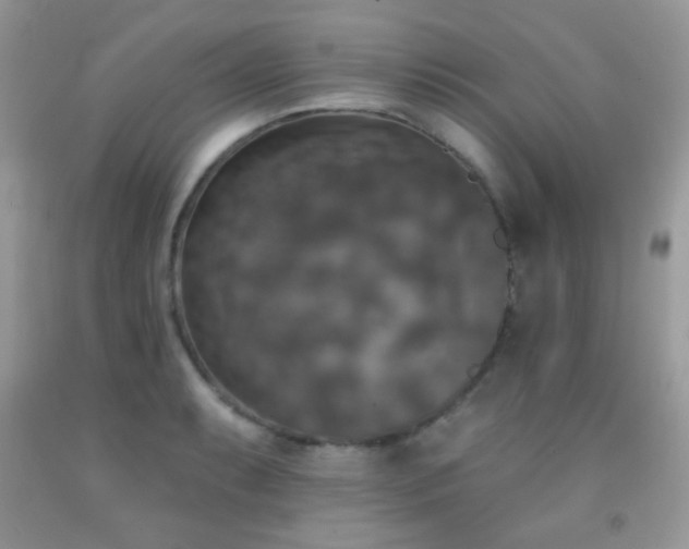 X0000092011087200709061527