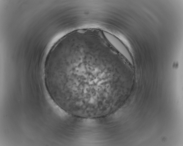 X0000092011088200709061527